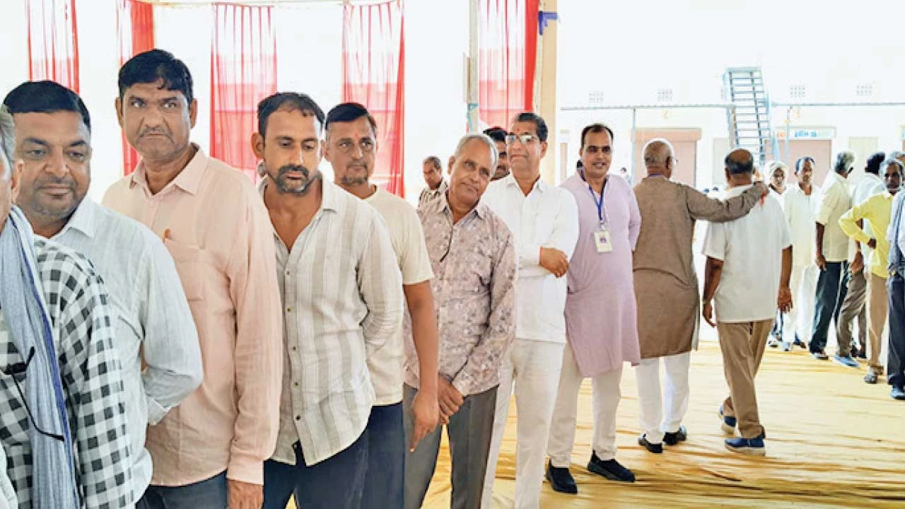 Patadi : APMCની ચૂંટણીમાં આજે પરિણામ