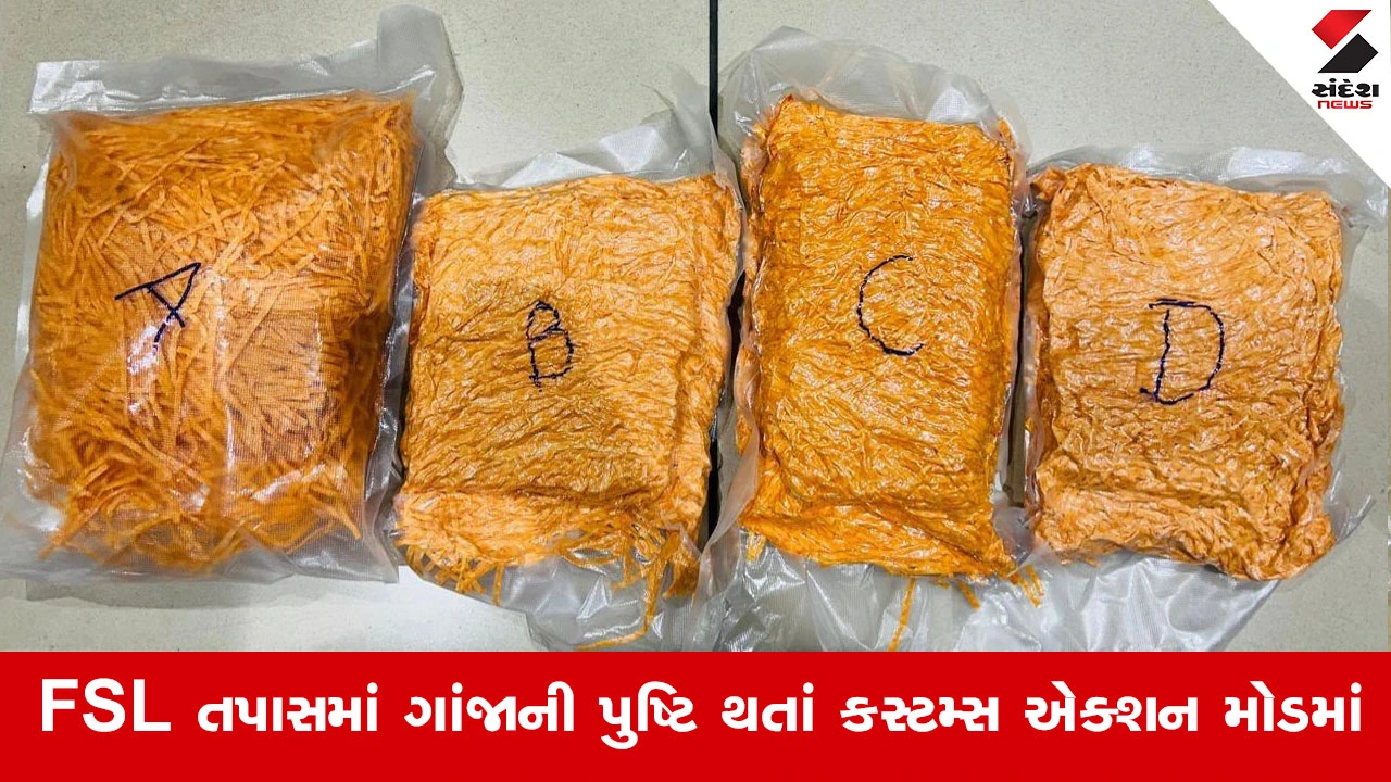 Ahmedabad News : વિયેતનામથી લાવવામાં આવેલા વેક્યૂમ પેકેટ્સમાં શું છુપાયું હતું? જાણો એરપોર્ટ કસ્ટમ્સના હાથમાં શું લાગ્યું...!