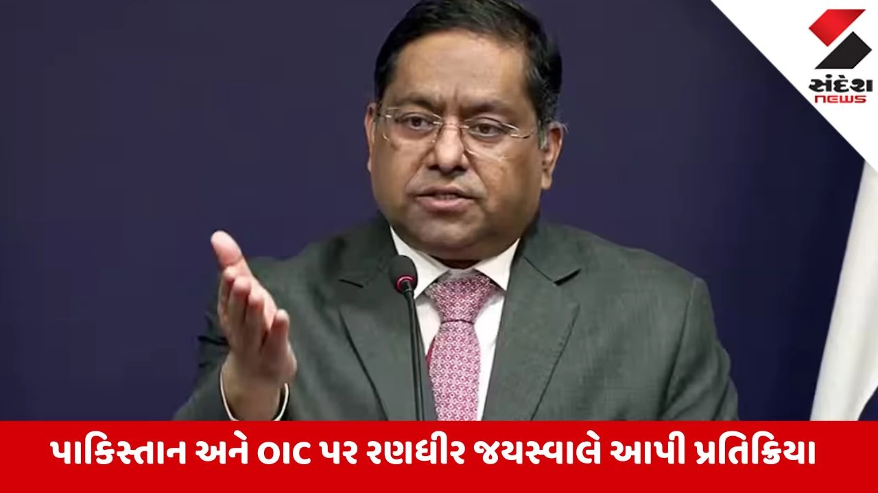 India: ભારતે ઈસ્લામિક સહયોગ સંગઠનને આડેહાથ લીધું, કહ્યું- "અમને નિરાશા છે કે પાકિસ્તાનનું કટ્ટર વલણ..."