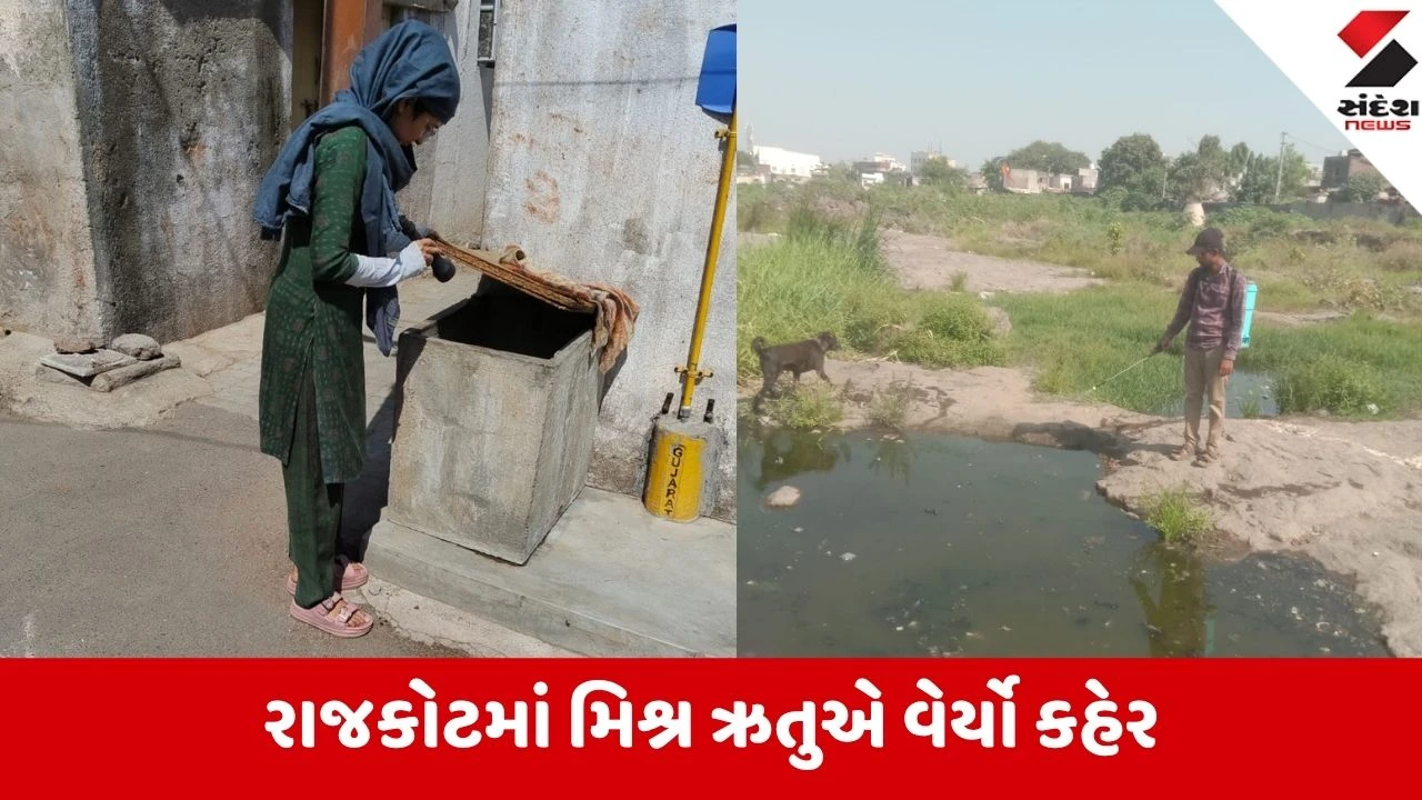 Rajkot: શહેરમાં વાયરલ અને મચ્છરજન્ય રોગચાળાનો વિસ્ફોટ, સરકારી અને ખાનગી દવાખાનાઓમાં દર્દીઓની લાંબી કતારો