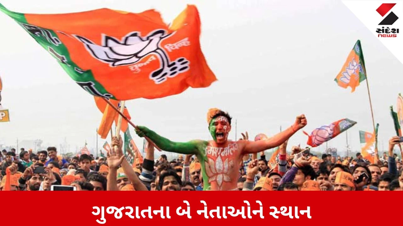 BJP યુવા મોરચાની નવી ટીમ જાહેર, ગુજરાતના ધ્રુવ પંડિતને મળી મોટી જવાબદારી!