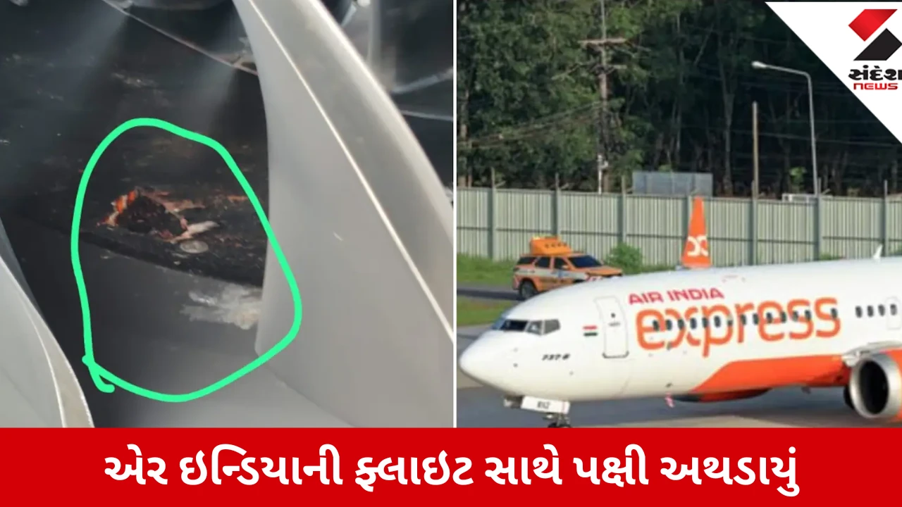 Air India Flight: વિમાન સાથે અથડાયું પક્ષી, 148 મુસાફરોના જીવ તાળવે ચોંટ્યા! બેંગલુરુમાં સુરક્ષિત લેન્ડિંગ