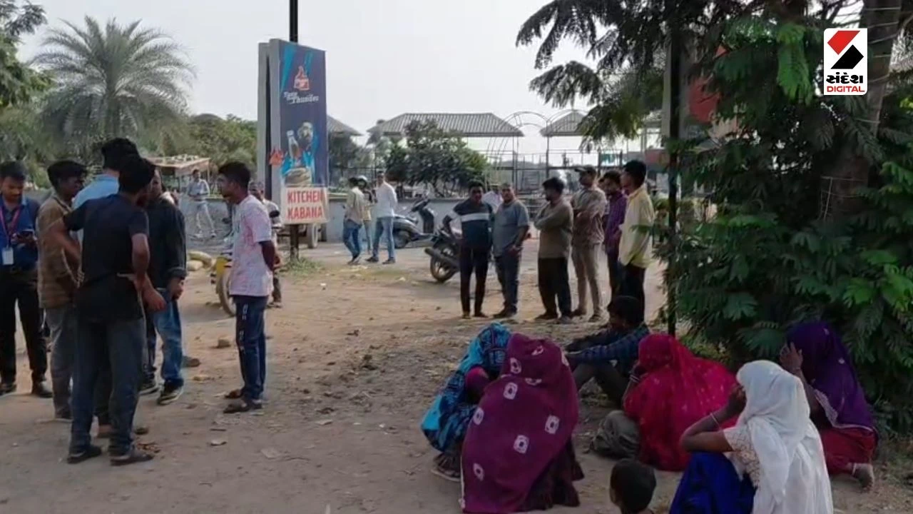 Bharuch News: Ankleshwar NH 48 Accident, 20-Year-Old Girl Dead