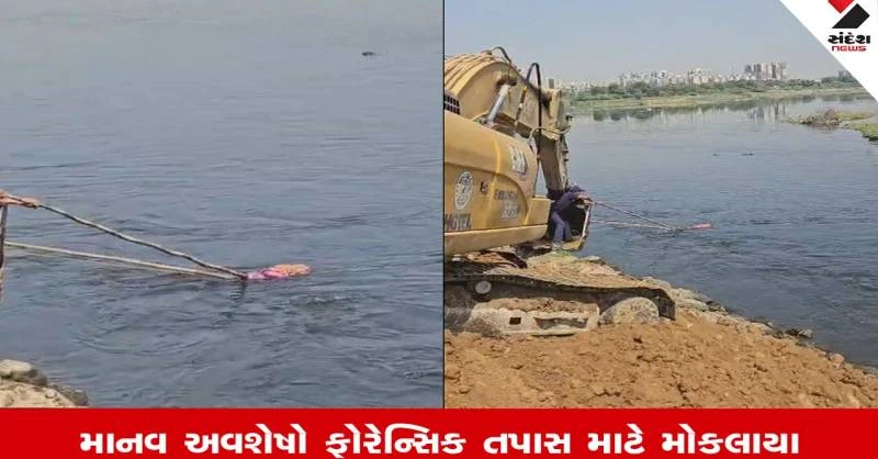 Ahmedabad News: પીરાણા નજીક નદીમાંથી મળેલા અવશેષો બાળકીના નહીં પણ પશુના હોવાનો ખુલાસો