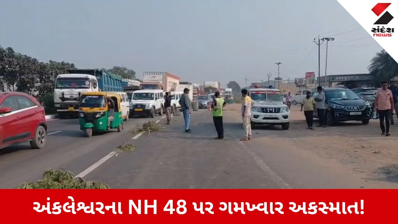 Bharuch News: અંકલેશ્વરના NH 48 પર હીટ એન્ડ રનની ઘટના, યુવતીનું મોત, 2 ઈજાગ્રસ્ત