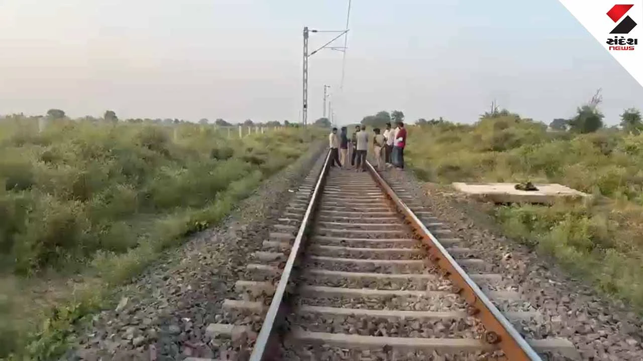Train and lion accident in Amreli