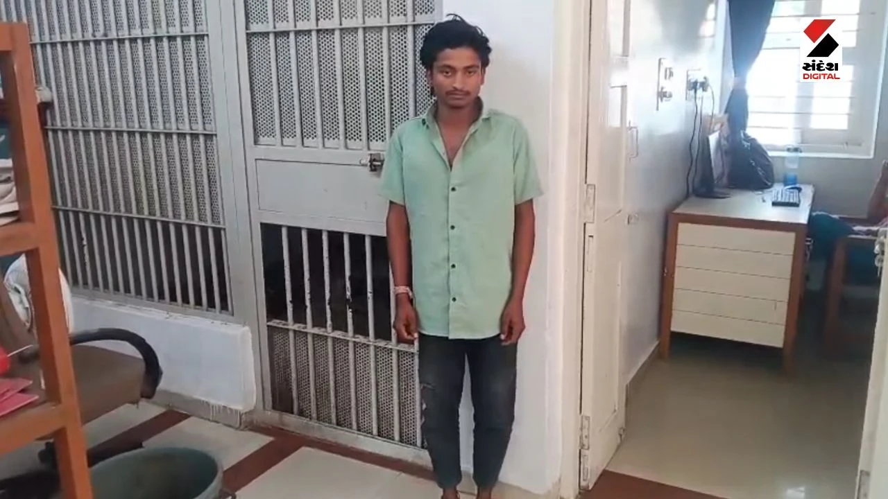 Porbandar News: 17-Year-Old Minor Pregnant After Rape; POCSO Case Registered
