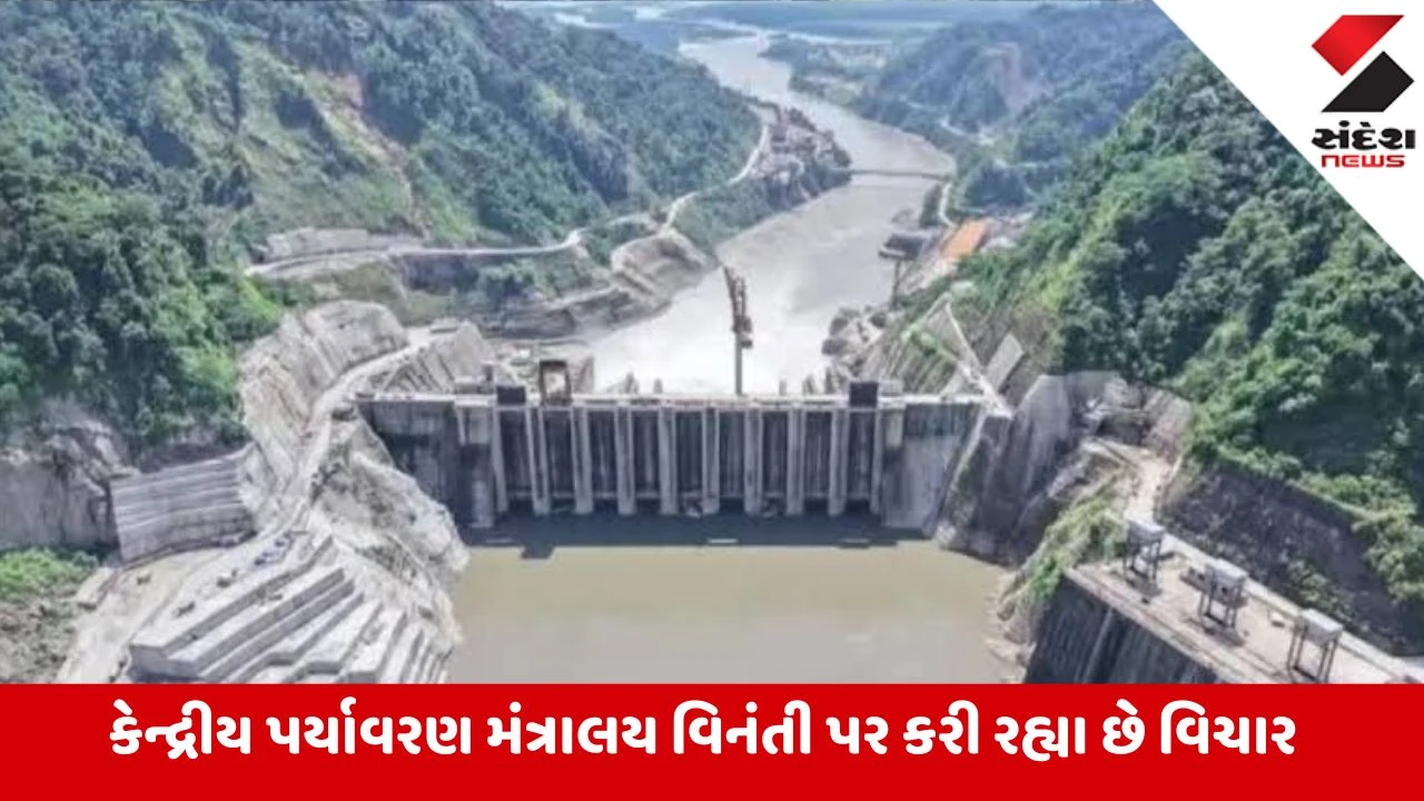 ઓ બાપરે... NHPCએ એક-બે નહીં પણ 23 લાખ વૃક્ષો કાપવાની માંગી મંજૂરી, જાણો કારણ
