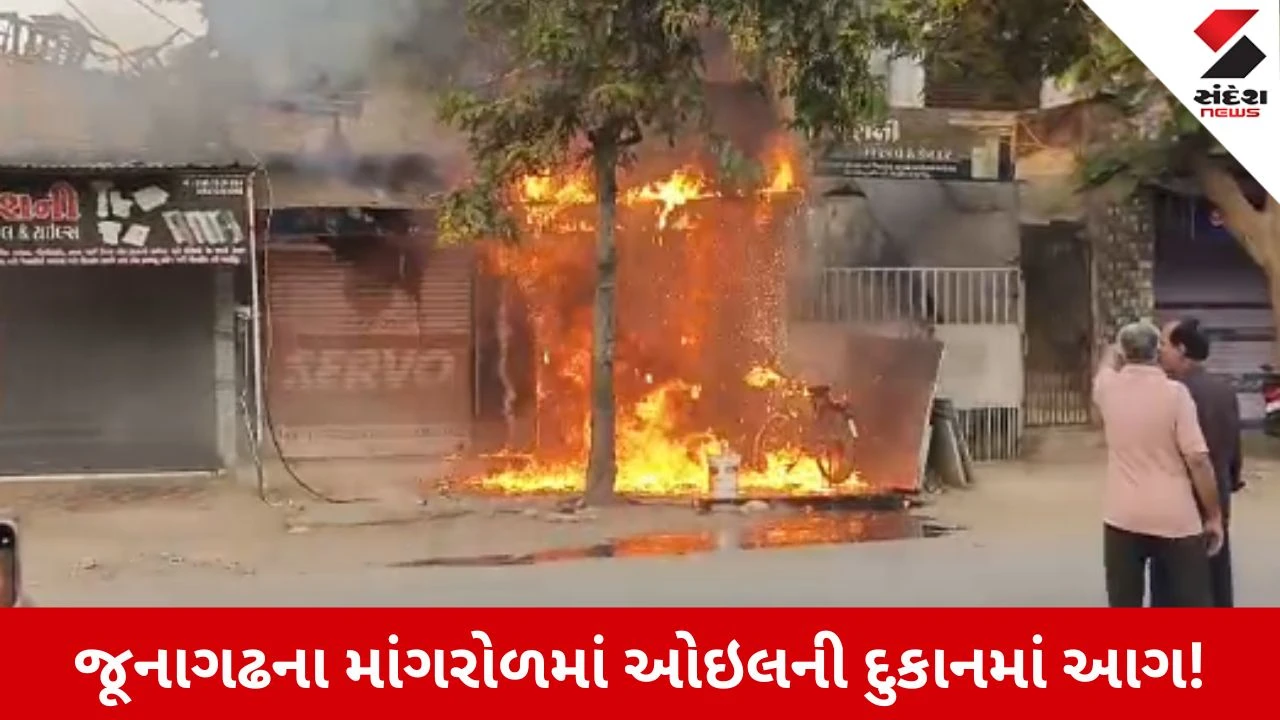 Junagadh News: માંગરોળમાં ઓઇલની દુકાનમાં ભીષણ આગ, શોર્ટ સર્કિટથી મોટું આર્થિક નુકસાન