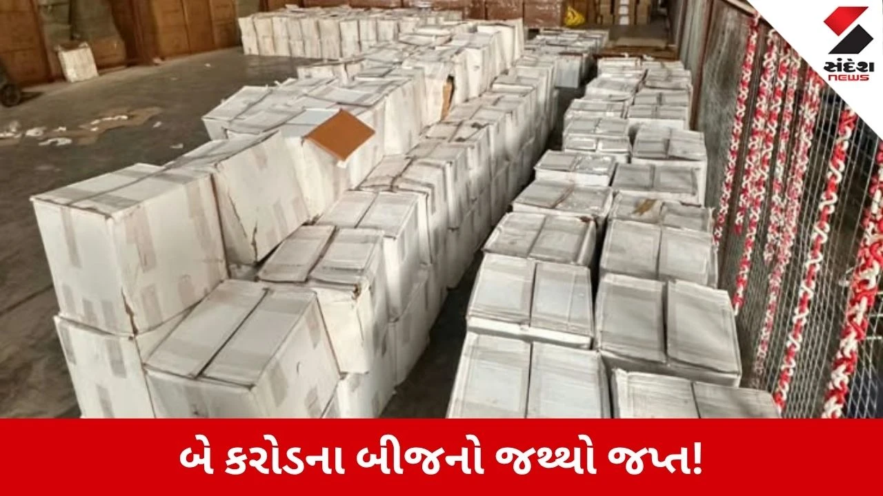 DRI Operation Deep Manifest: પાકિસ્તાનથી દુબઈ થઈ ભારતમાં બીજની આયાત, 2.02 કરોડનો જથ્થો જપ્ત