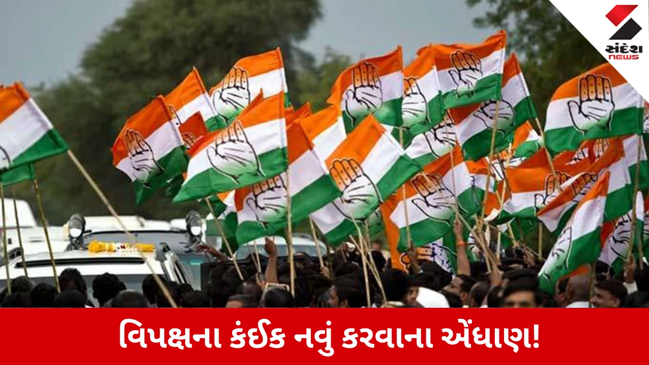 Delhiમાં 1 નવેમ્બરે યોજાશે ‘વોટ બચાવો’ રેલી, મોટી સંખ્યામાં ભીડ એકઠી કરવા વિપક્ષની તૈયારી!