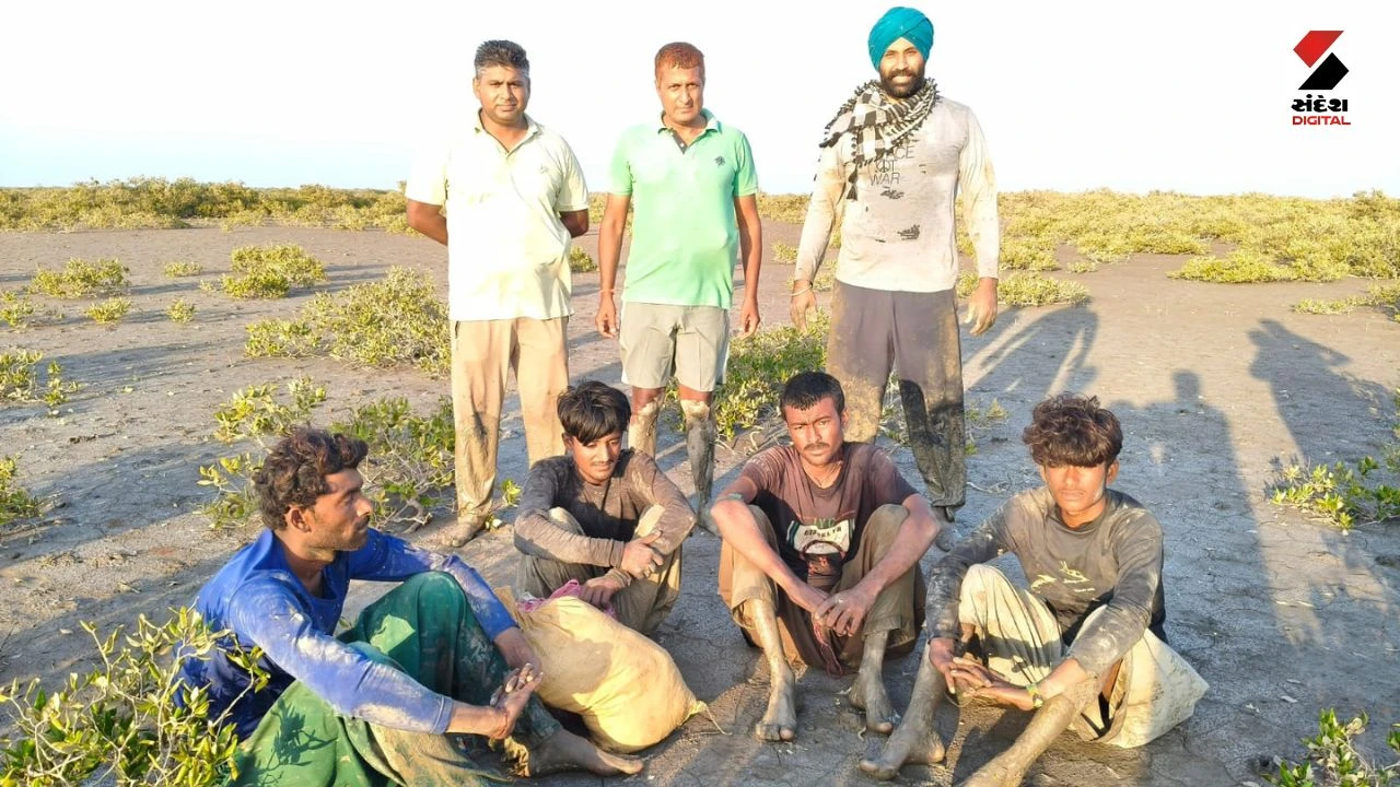 Kutch News: BSF Catches 4 Pakistani Fishermen in Kutch Sir Creek