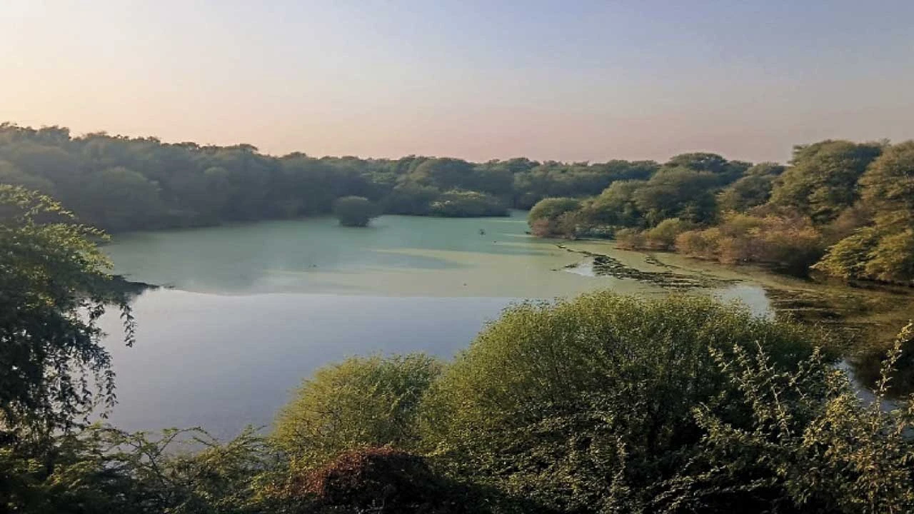 Mahesana : સુર્ય મંદિરથી વિખ્યાત મોઢેરાના પ્રવાસન વિકાસને ગ્રહણ