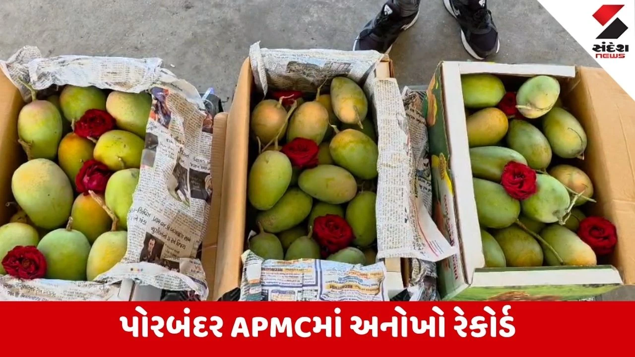 Porbandar: એપ્રિલ-મેની કેરી ઑક્ટોબરમાં જ પાકી ગઈ, ખેડૂતો અને વેપારીઓ બંને અચરજમાં!