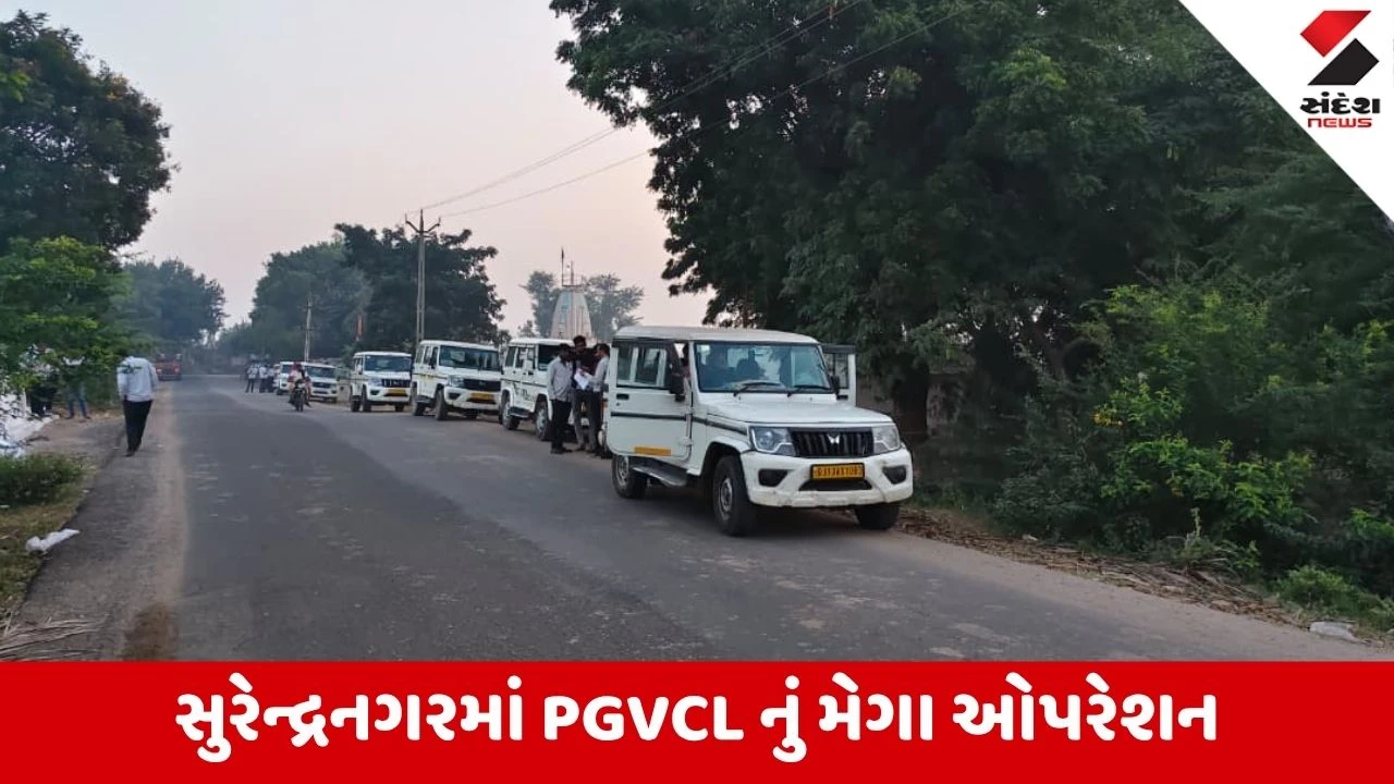 Surendranagar: PGVCLની 31 ટીમોના સામૂહિક દરોડામાં ₹20.30 લાખની વીજ ચોરી પકડાઈ