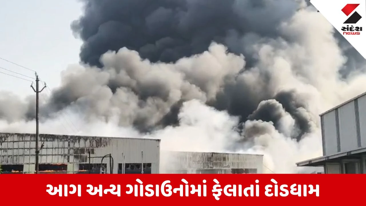 Valsad : ઉમરગામના નગવાસ ગામમાં કંપનીઓનાં ગોડાઉનોમાં ભીષણ આગ, દૂર દૂર સુધી ધુમાડાના ગોટેગોટા, Video
