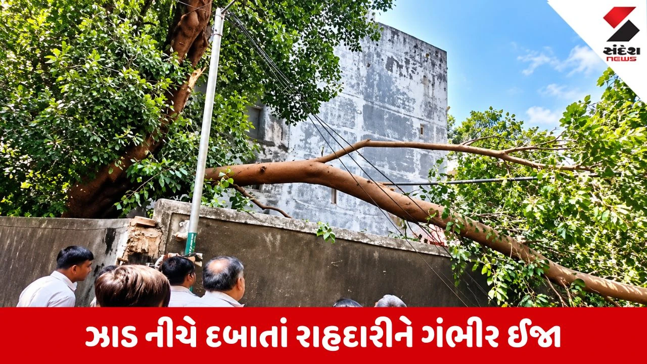 Surat : વરાછા વિસ્તારમાં અચાનક તોતિંગ વૃક્ષ ધરાશાયી થતાં દોડધામ, 1ને ઇજા