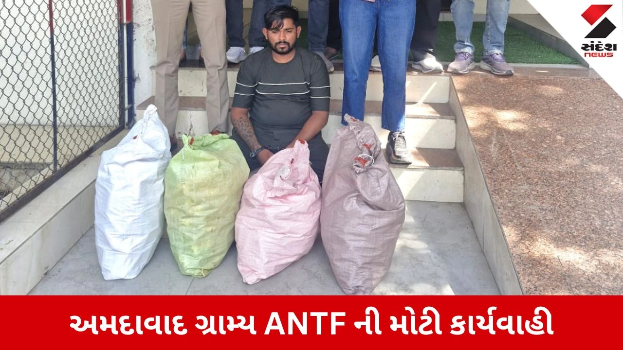 Ahmedabad News: બગોદરામાં પ્રતિબંધિત કફ સિરપની 600 બોટલ સાથે એક શખ્સ ઝડપાયો