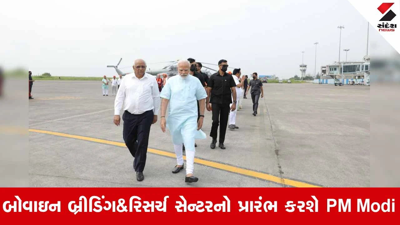 PM Modiની ગુજરાત મુલાકાત પહેલા X પર મહત્વપૂર્ણ પોસ્ટ: બનાસકાંઠામાં પશુપાલન ક્ષેત્રે નવી ક્રાંતિની તૈયારી