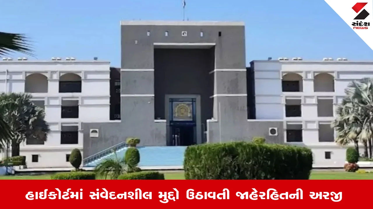 Ahmedabad News: વિદેશી નાગરિકો ભારતની આંતરિક બાબતોમાં દખલ કરી શકે નહીં: હાઈકોર્ટની ટકોર