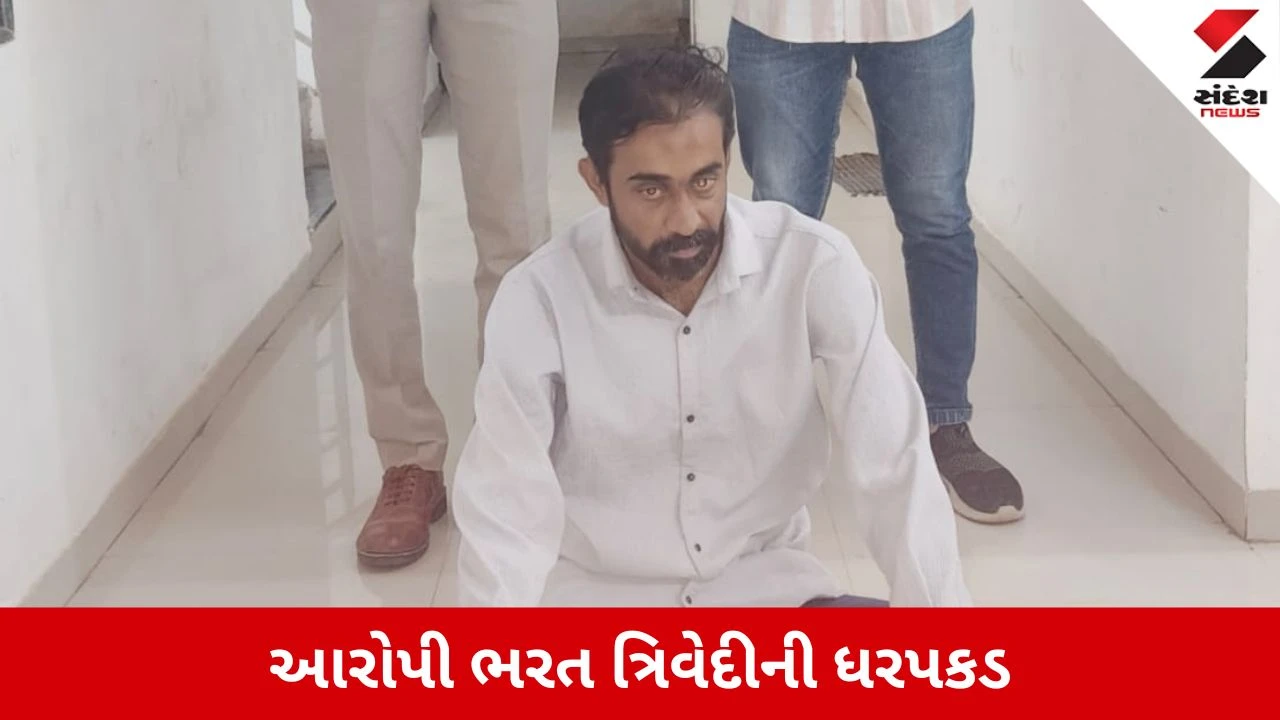 Bhavnagar News: પાલીતાણામાં ગ્રામીણ બેન્ક સાથે રૂ.22.70 લાખની છેતરપિંડી, આરોપી ભરત ત્રિવેદીની ધરપકડ