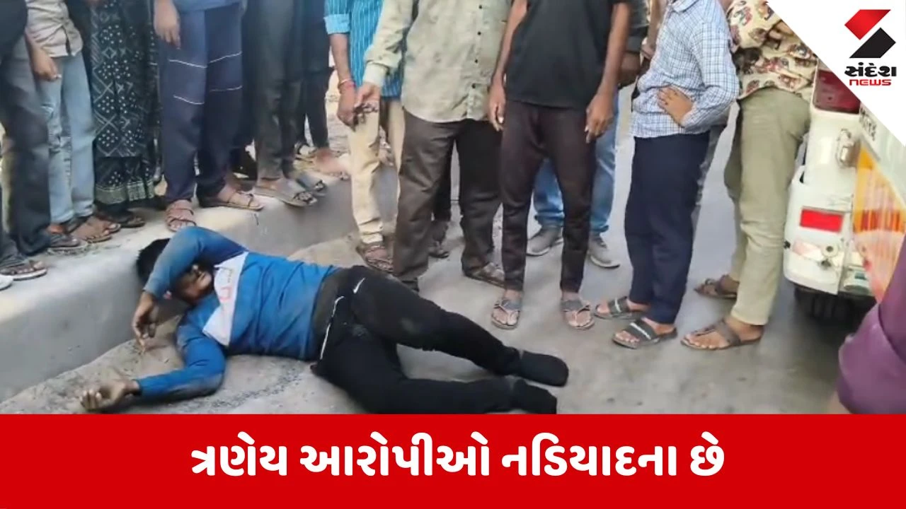 Kheda : ડાકોરના બ્રિજ પરથી બકરા ચોરે મારી છલાંગ, ગંભીર હાલતમાં હોસ્પિટલ ખસેડાયો