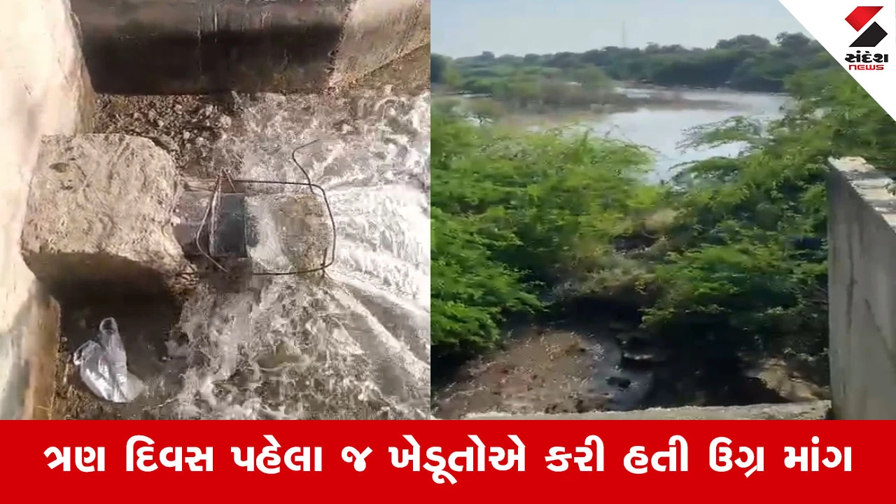 Patan News : સૂકા તળાવમાં પાણી આવતા જગતનો તાત ખુશખુશાલ, રવિ પાકને નવજીવન મળતા ખેડૂતોએ માન્યો આભાર