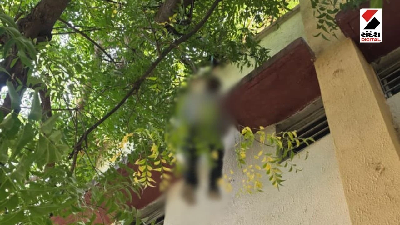 Banaskantha News Khimana CHC staff brother ends his life Confusion over reason for suicide