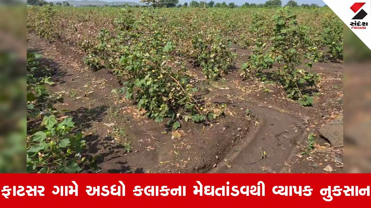 Gir Somnathમાં કમોસમી વરસાદનો કહેર: ઉના, કોડીનાર અને ગીર ગઢડા પંથકમાં માવઠાથી ઉભા પાકો થયા જમીનદોસ્ત!