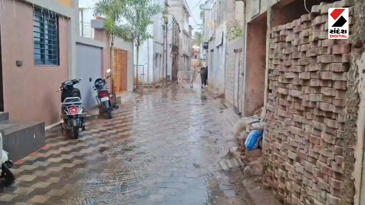 Unseasonal Rain in Gujarat, Crops Damaged, Saurashtra Farmers in trouble